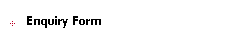 Enquiry Form